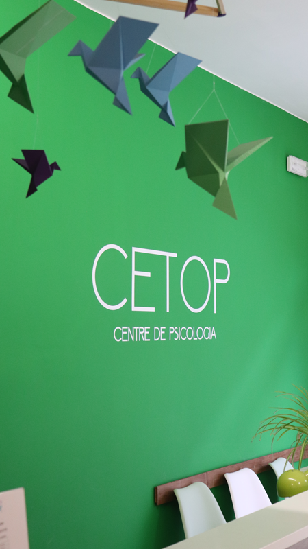 Inici cetop multimedia entrada