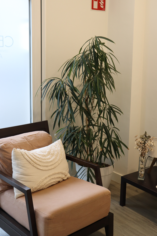 Inici sala psicolegs adults